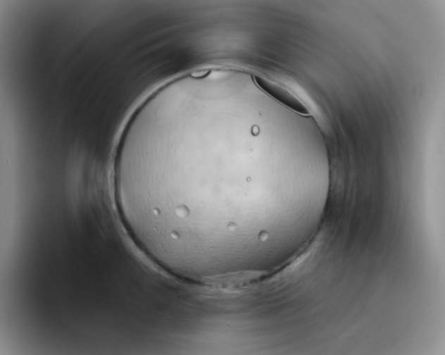 X0000091591100200709171130