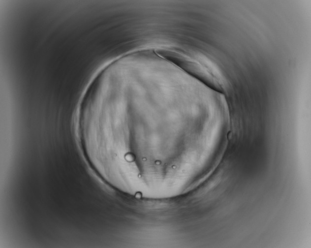 X0000091591103200709171130