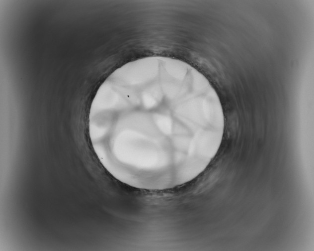 X0000091591105200709171129