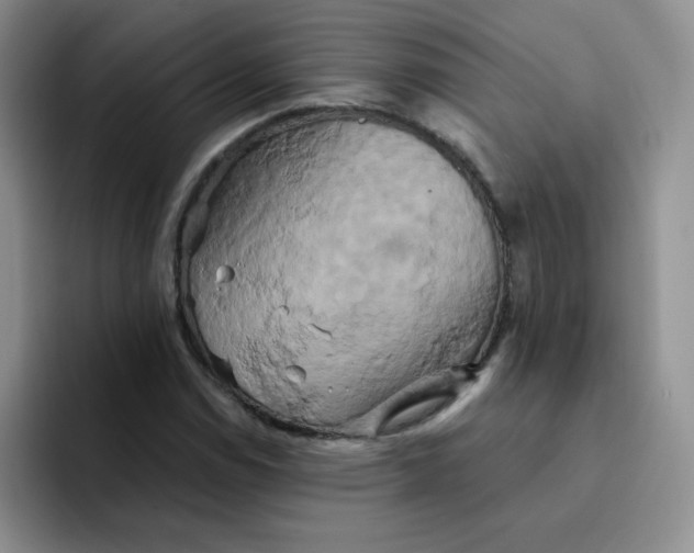 X0000091591114200709171129