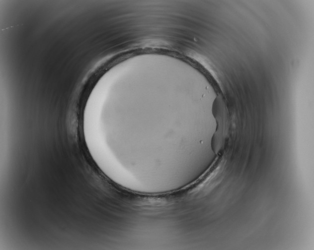 X0000091591115200709171129