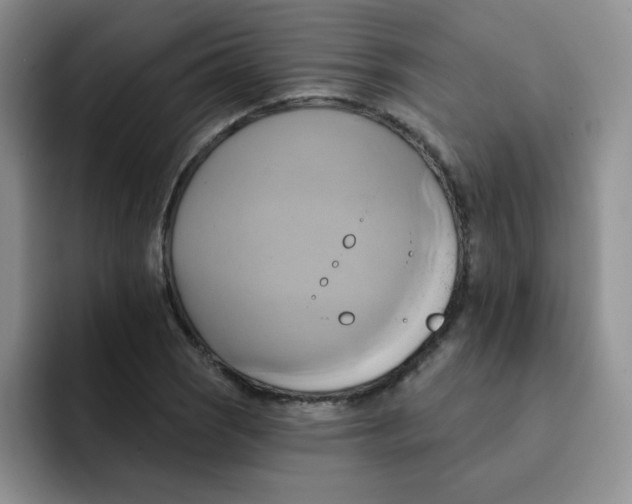 X0000091591121200709171129