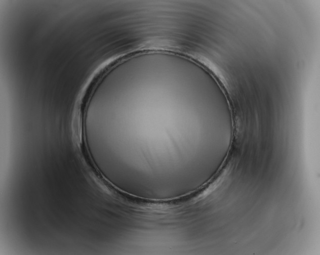 X0000091591123200709171129