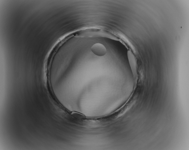 X0000091591124200709171129