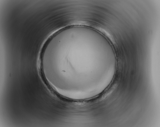 X0000091591125200709171129