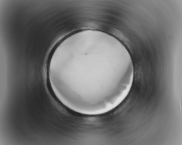 X0000091591130200709171129