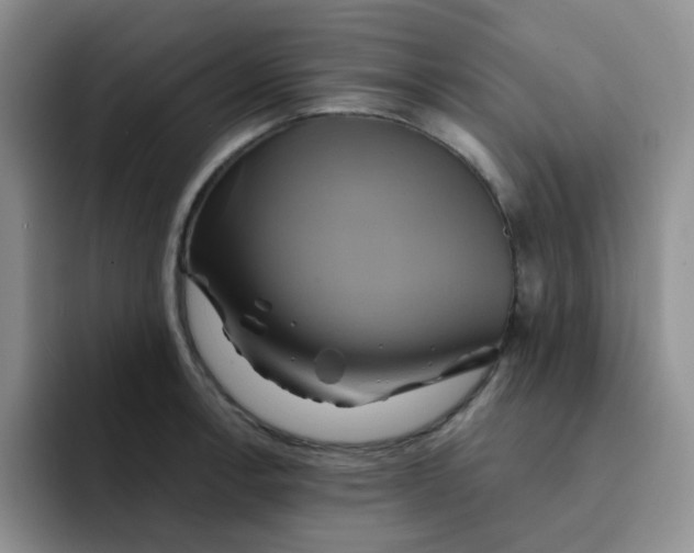 X0000091591138200709171129