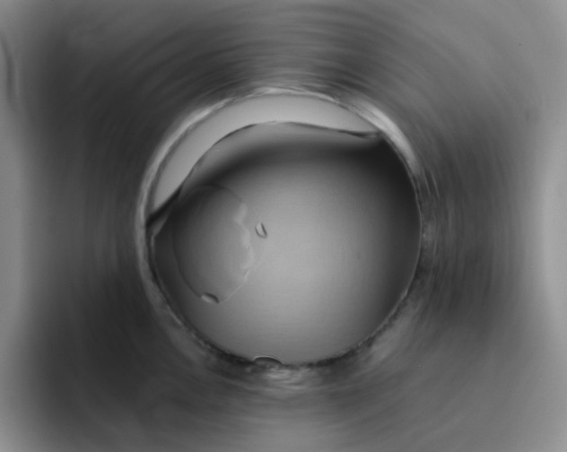 X0000091591146200709171130