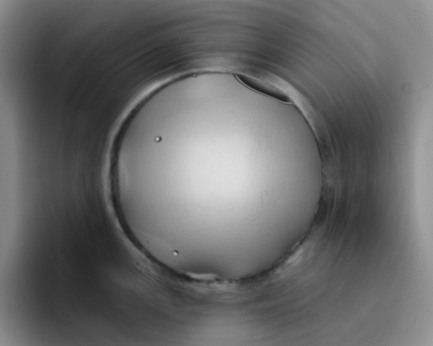 X0000091591147200709171130