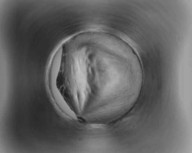 X0000091591152200709171130