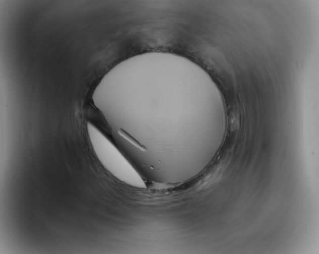 X0000091591156200709171129