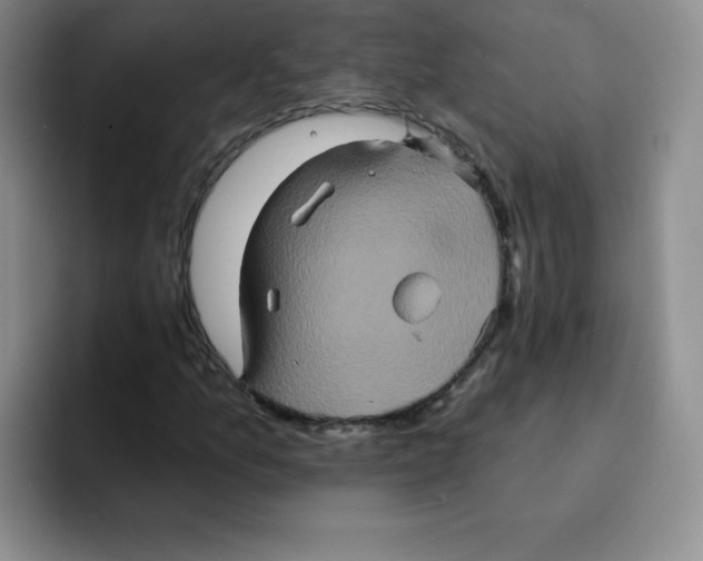 X0000091591157200709171129