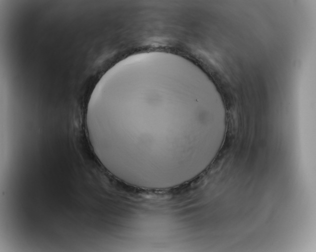 X0000091591158200709171129