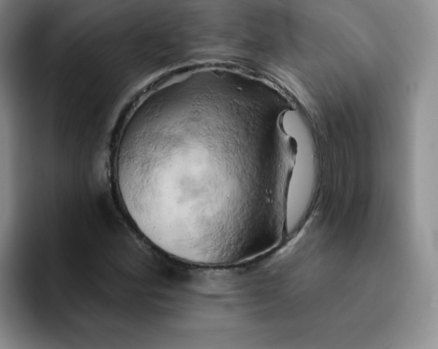 X0000091591164200709171129