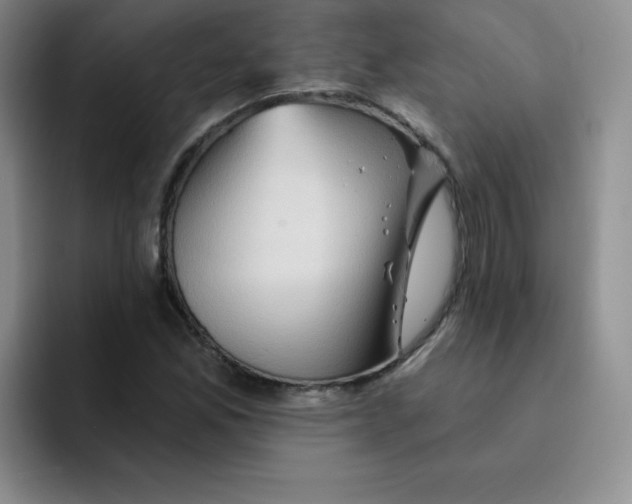 X0000091591165200709171129