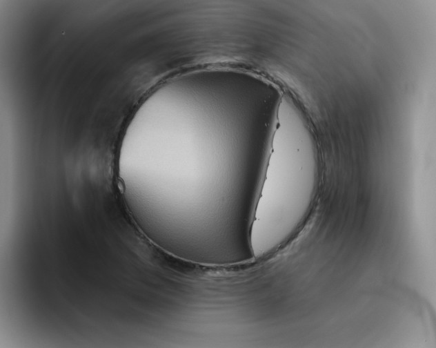 X0000091591169200709171129