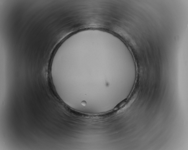 X0000091591170200709171129