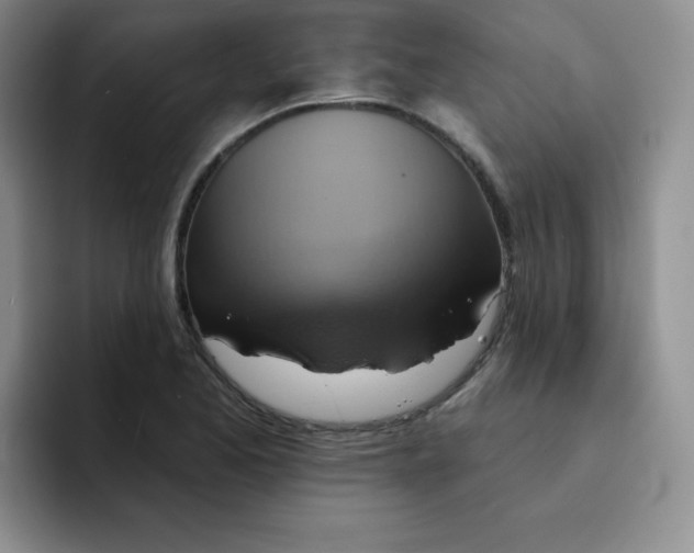 X0000091591173200709171129