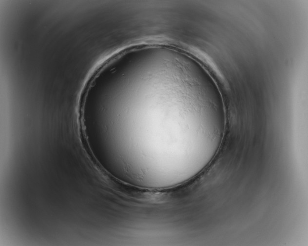 X0000091591176200709171129