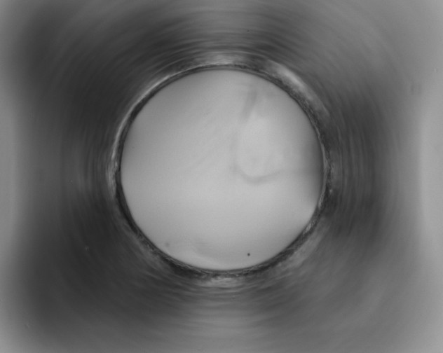 X0000091591178200709171129