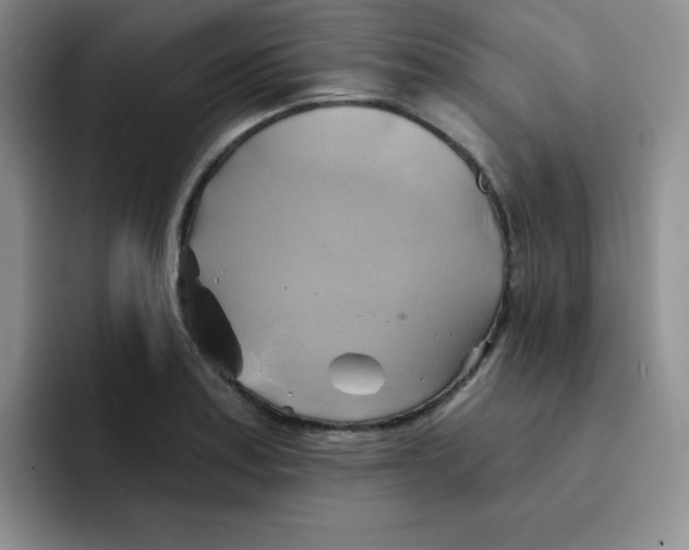 X0000091591179200709171129