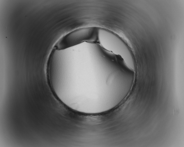 X0000091591181200709171129