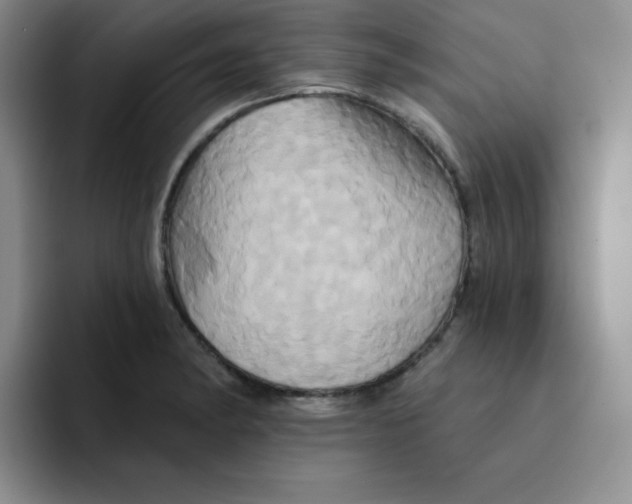 X0000091591182200709171129