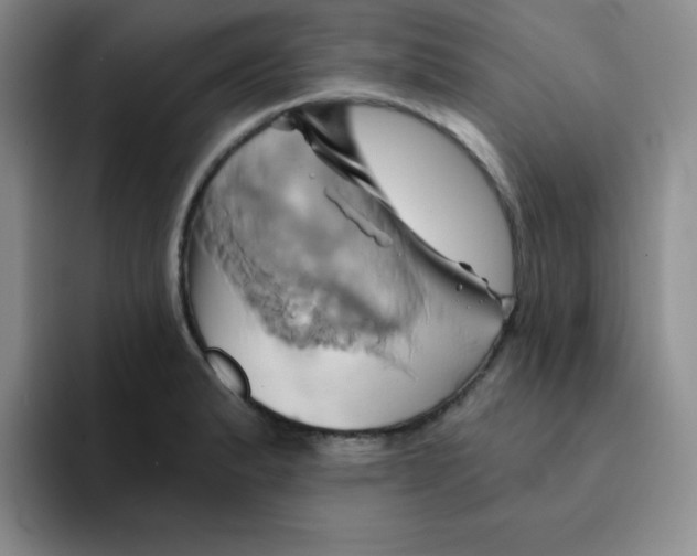 X0000091591183200709171129