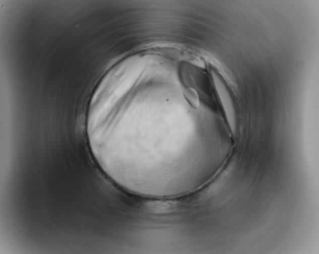 X0000091591185200709171129