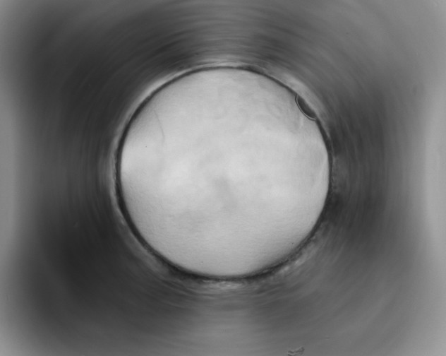 X0000091591187200709171129