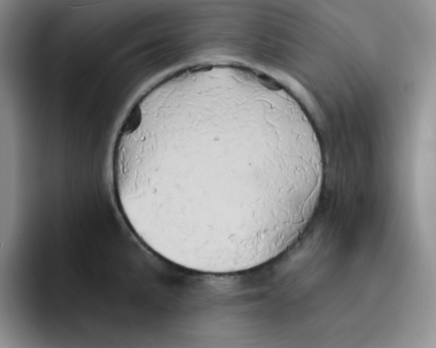 X0000091591191200709171129