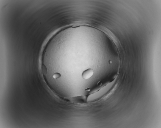 X0000091591196200709171129