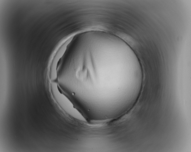 X0000091591200200709171128