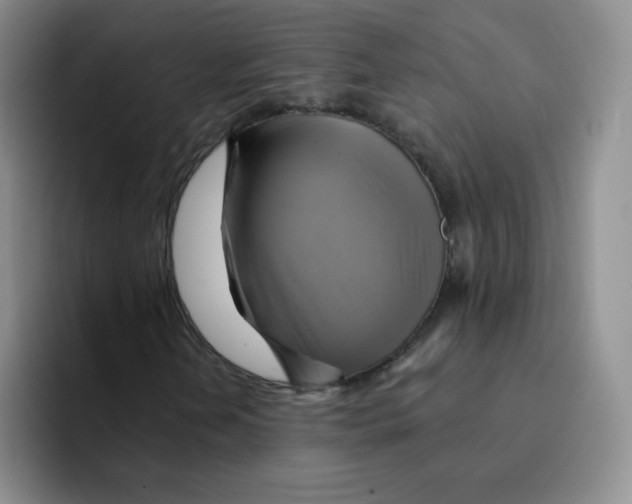 X0000091591202200709171128