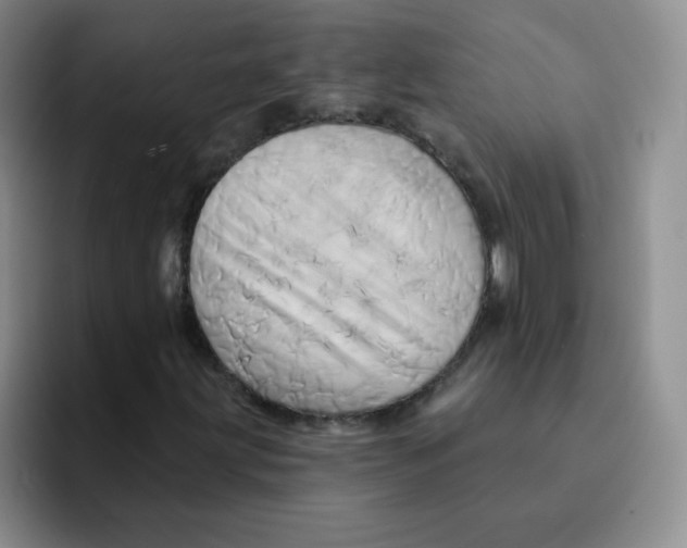 X0000091591203200709171128