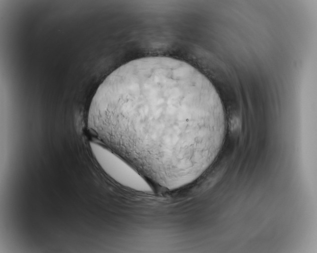 X0000091591204200709171128