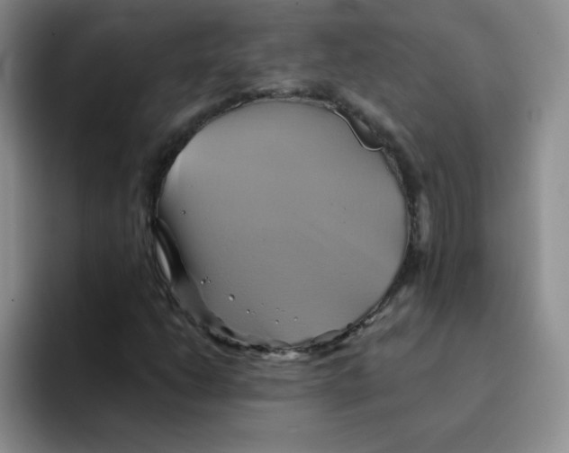 X0000091591206200709171128