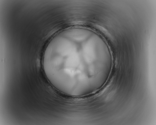 X0000091591209200709171128