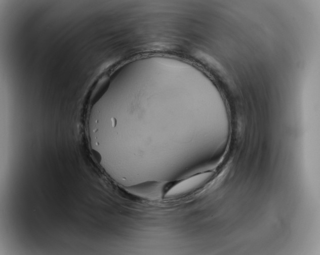 X0000091591210200709171128