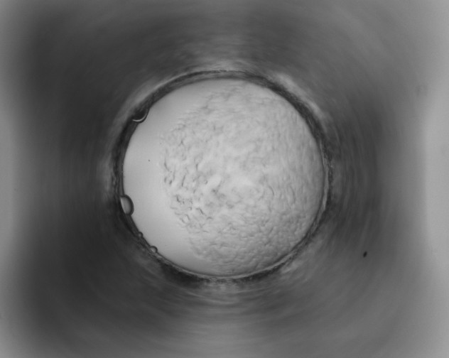 X0000091591215200709171128