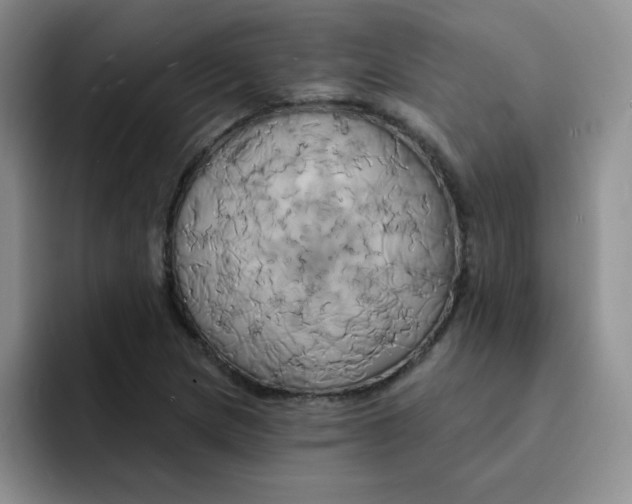 X0000091591217200709171128