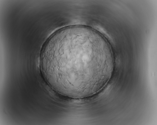 X0000091591220200709171128