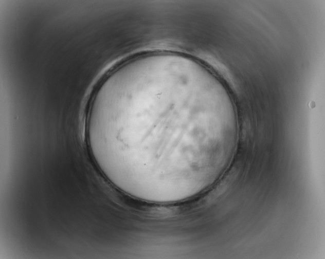 X0000091591224200709171128