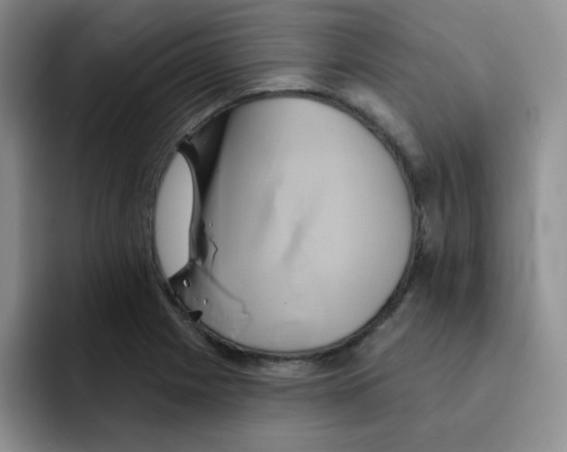 X0000091591225200709171128