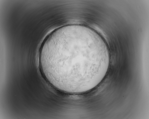 X0000091591227200709171128