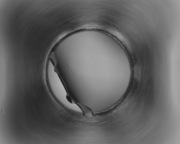 X0000091591229200709171128