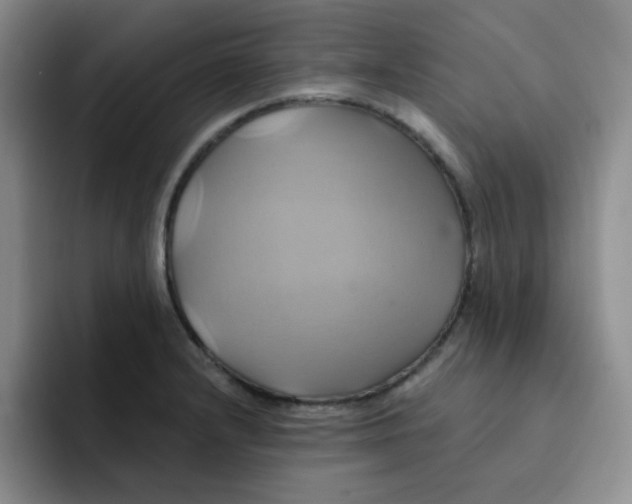 X0000091591232200709171128