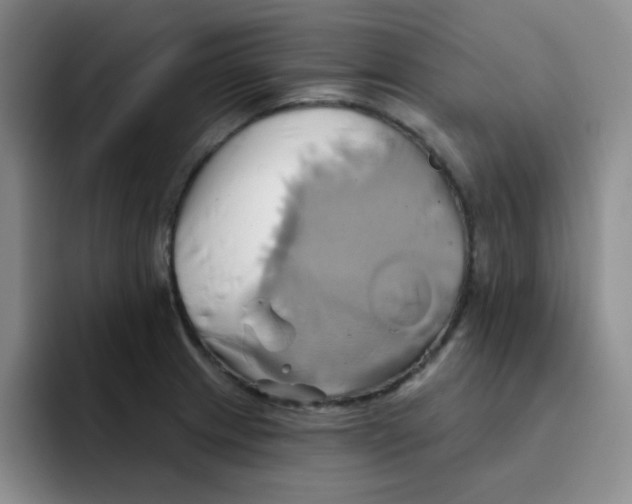 X0000091591233200709171128