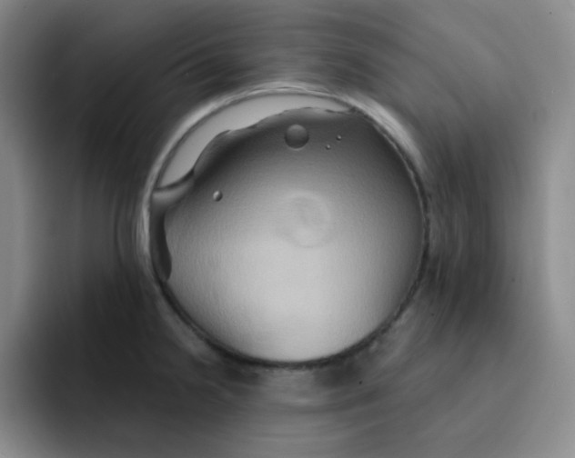 X0000091591238200709171128