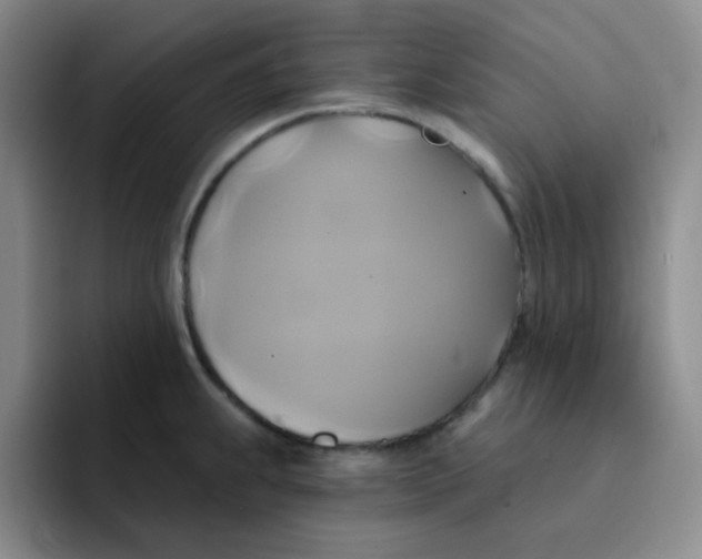 X0000091591239200709171128